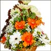 Beautiful Partner - Click here to View more details about this Product